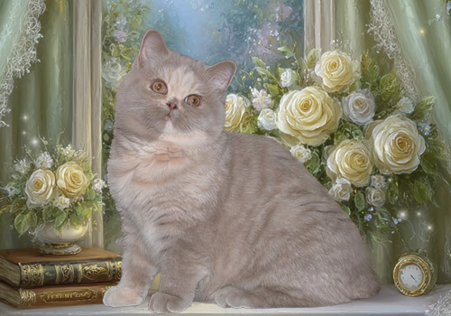 Dreams of Heaven Little Secret